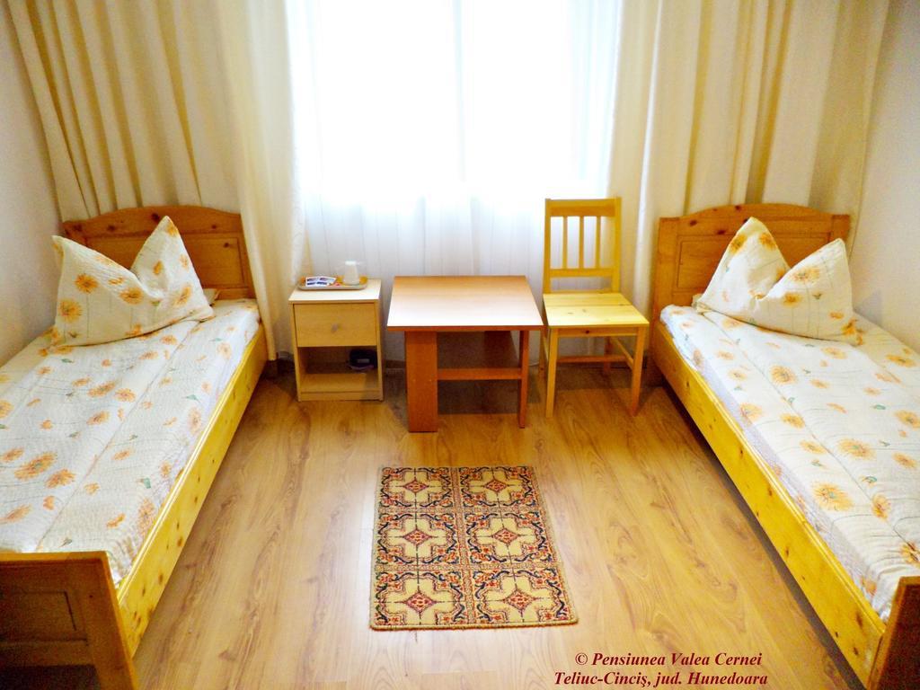 Pensiunea Valea Cernei Teliucu Inferior Ruang foto
