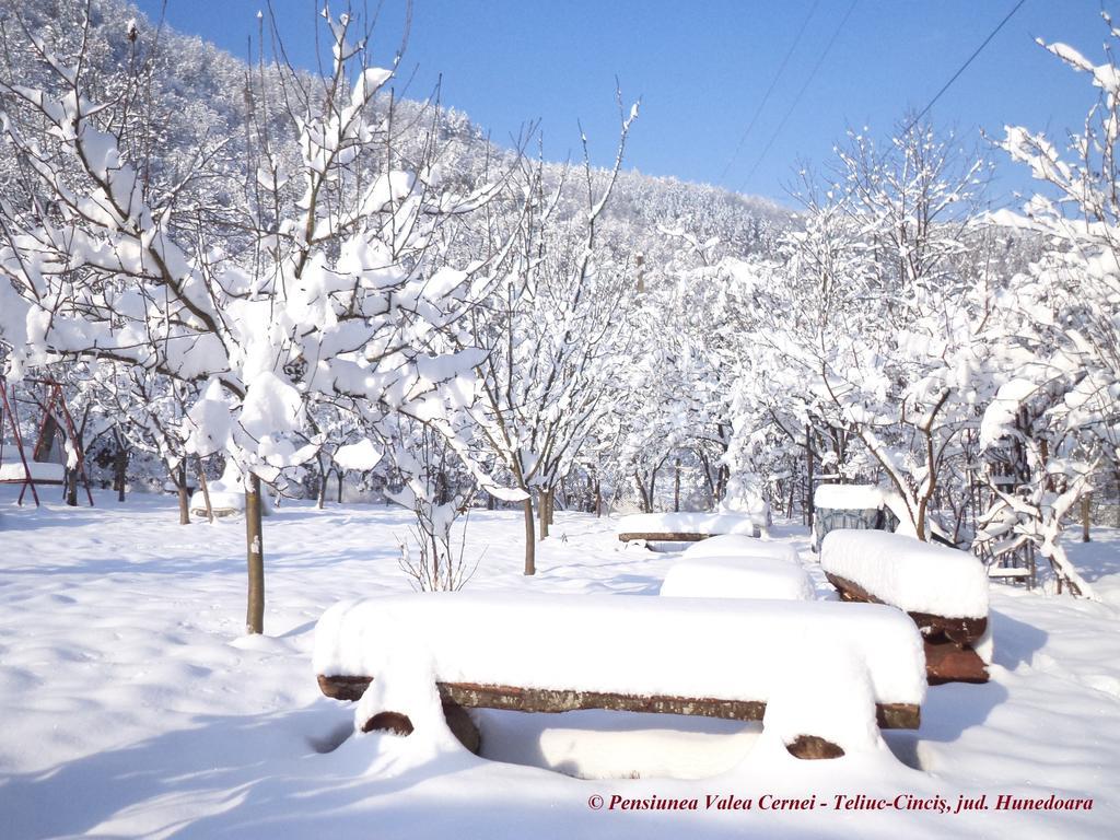 Pensiunea Valea Cernei Teliucu Inferior Bagian luar foto