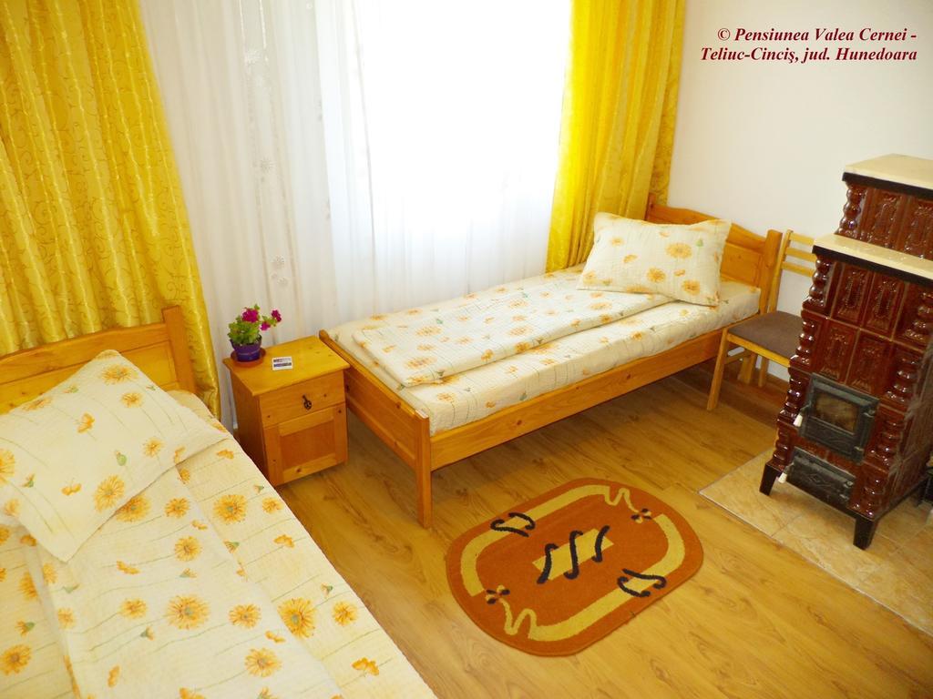 Pensiunea Valea Cernei Teliucu Inferior Ruang foto