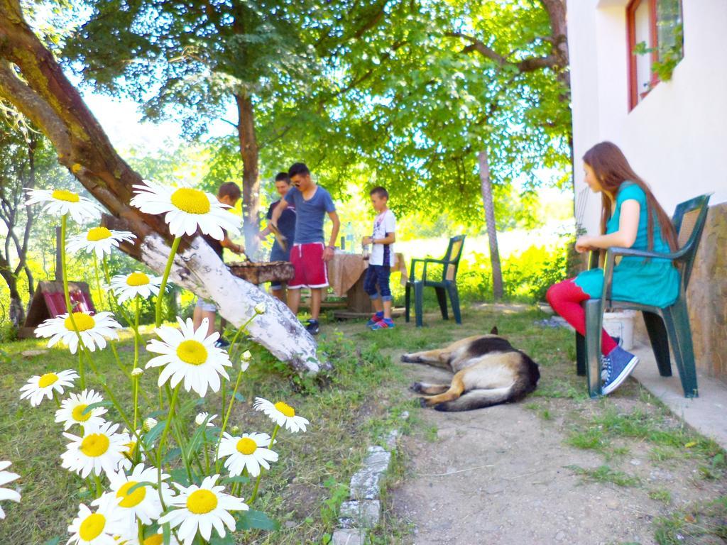 Pensiunea Valea Cernei Teliucu Inferior Bagian luar foto