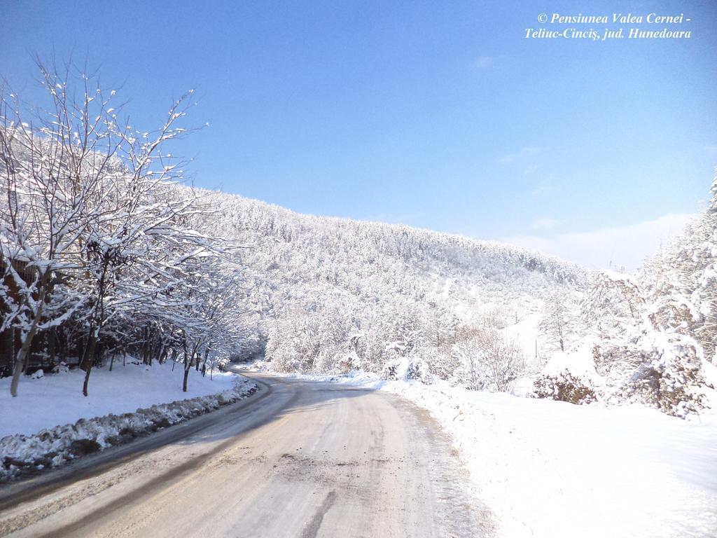 Pensiunea Valea Cernei Teliucu Inferior Bagian luar foto
