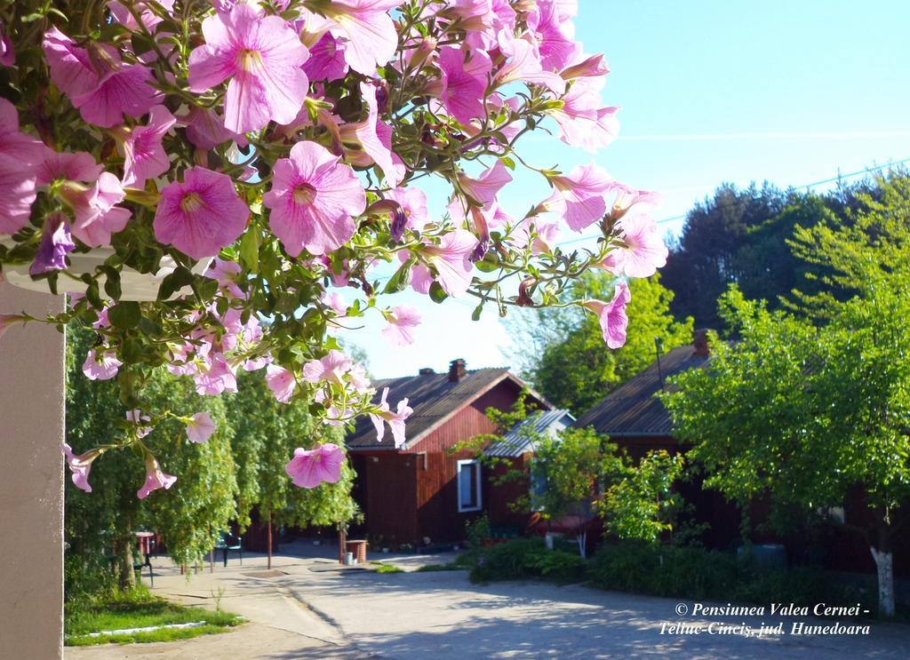 Pensiunea Valea Cernei Teliucu Inferior Bagian luar foto